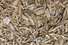 biomass boilers Chedglow